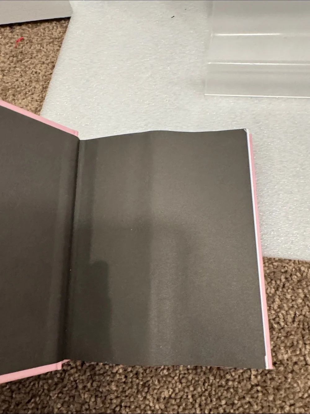 The little guide to coco Chanel book